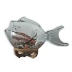 Glass Fish Terrarium Ocean Decor with Wooden Stand