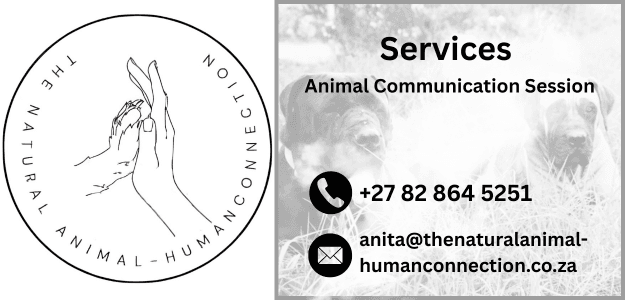 The Natural Animal-Human Connection